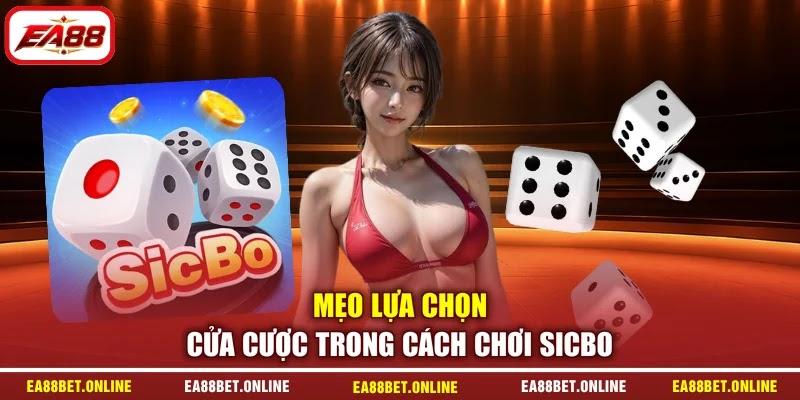 Mẹo lựa chọn cửa cược trong cách chơi Sicbo