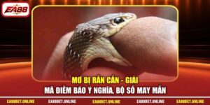 Mơ Bị Rắn Cắn - Giải Mã Điềm Báo Ý Nghĩa, Bộ Số May Mắn