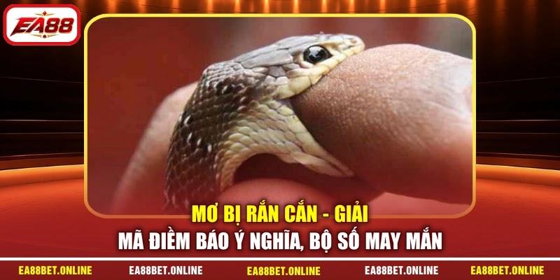 Mơ Bị Rắn Cắn - Giải Mã Điềm Báo Ý Nghĩa, Bộ Số May Mắn