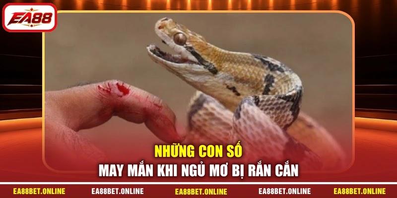 Những con số may mắn khi ngủ mơ bị rắn cắn