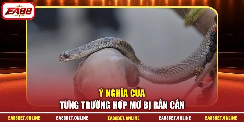 Ý nghĩa của từng trường hợp mơ bị rắn cắn